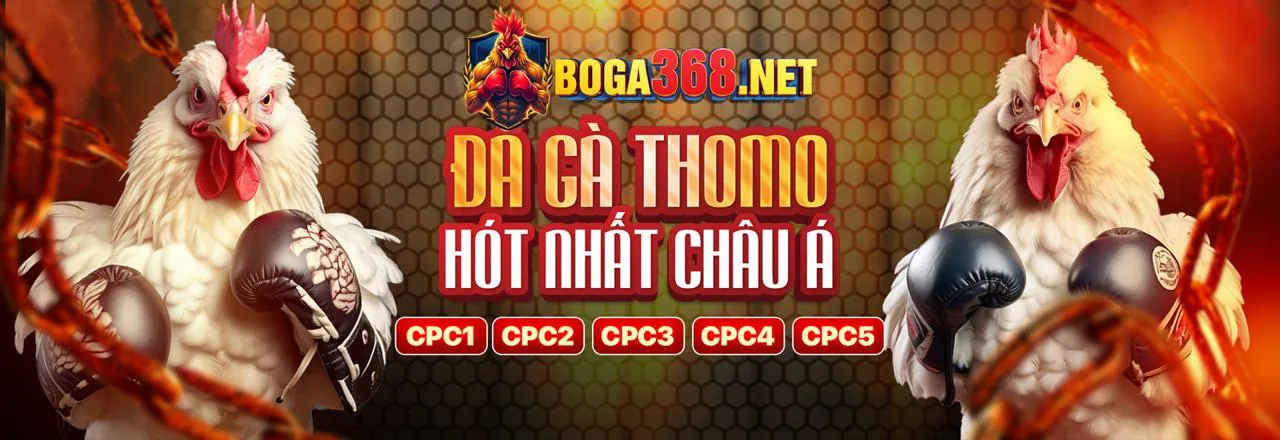 Lời khuyên chơi cờ bạc an toàn